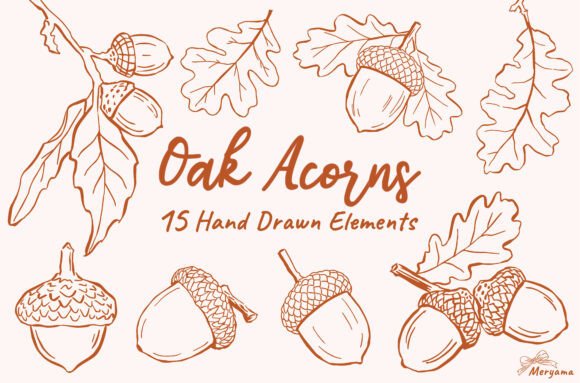 Download Hand Drawn Fall Oak Acorns Autumn SVG - Fall Collection