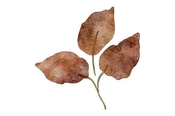 Download Watercolor Fall Leaf Foliage Painting - Fall Collection